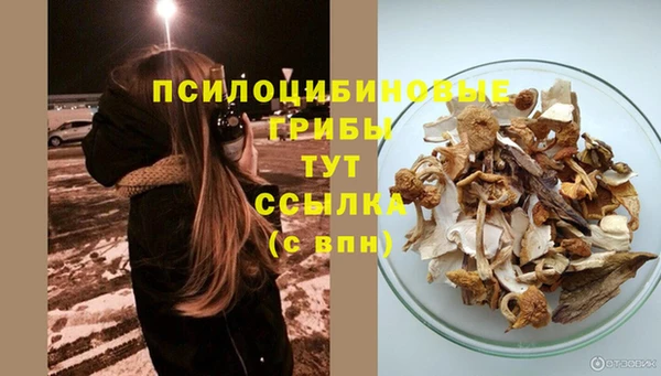 амф Алексин