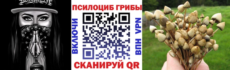 mega зеркало Старая Купавна Псилоцибиновые грибы Psilocybe наркотики